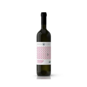 Aglianico Cilento Dop Notarius Donna Clara Cl.75 - fontanella shop