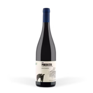 Pian Di Stio Paestum Rosso 2017 Cl.75 San Salvatore - fontanella shop
