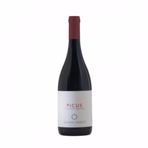 Rosso Piceno Superiore DOP Picus Simone Capecci Cl.75
